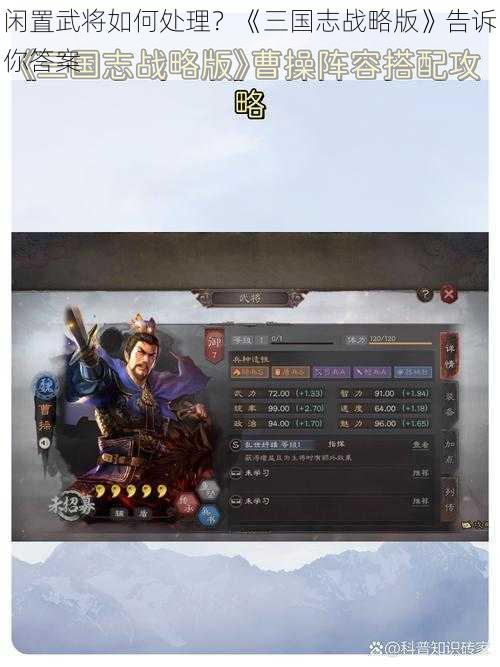 闲置武将如何处理？《三国志战略版》告诉你答案