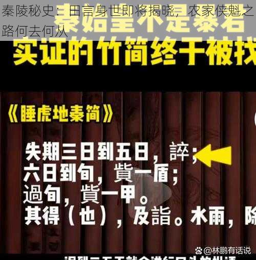 秦陵秘史：田言身世即将揭晓，农家侠魁之路何去何从