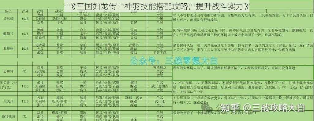 《三国如龙传：神羽技能搭配攻略，提升战斗实力》