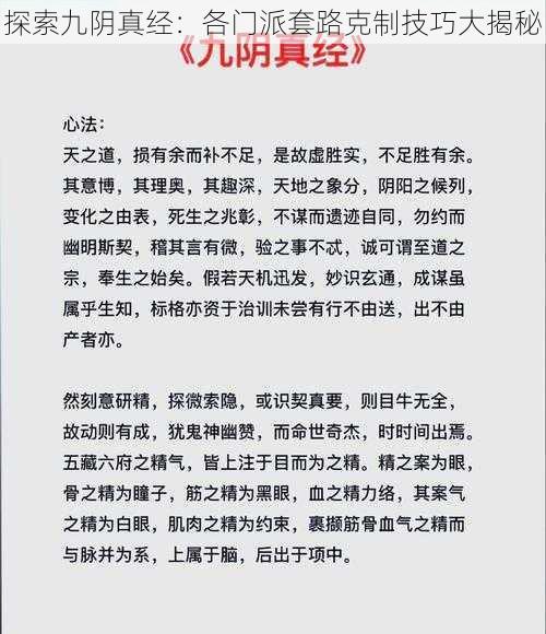 探索九阴真经：各门派套路克制技巧大揭秘